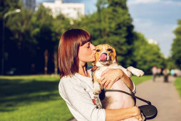 What’s Your Dog’s Love Language? - Bisous Pets