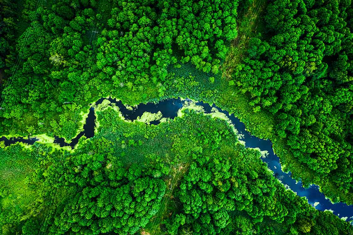 Green landscape
