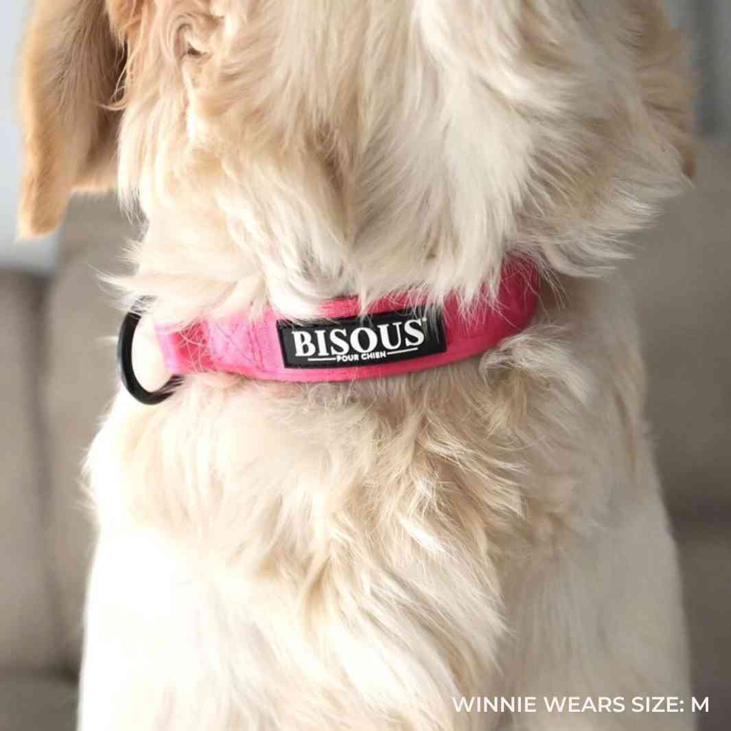 Classic Dog Collar | Pink - Bisous | Pour Chien