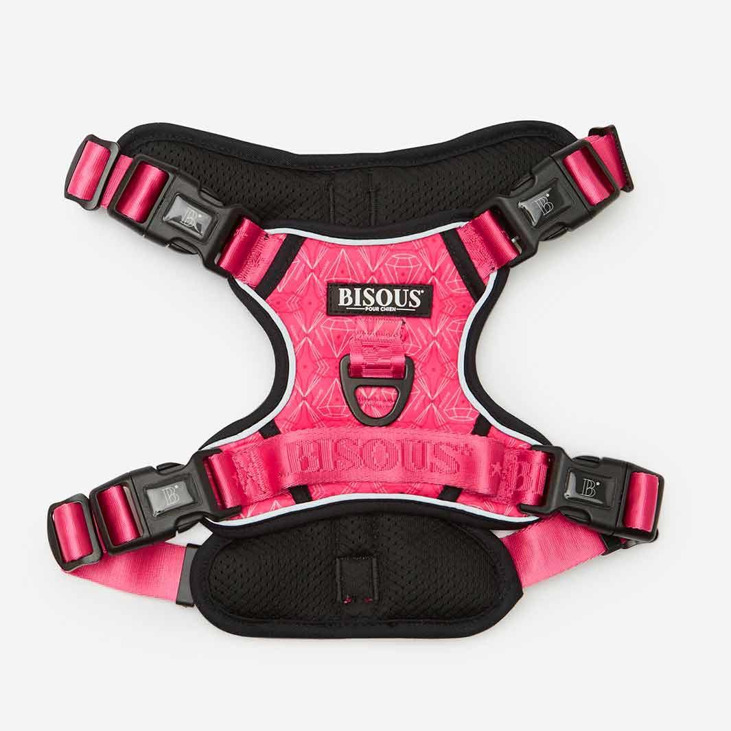 Lifestyle Dog Harness | Madame - Bisous | Pour Chien