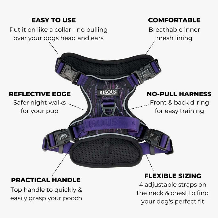 Smart-Fit Harness | Plume Purple - Bisous | Pour Chien