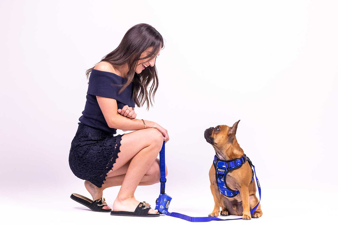 Bisous x Infinitely Posh: A guide to the most stylish dog walks - Bisous Pets