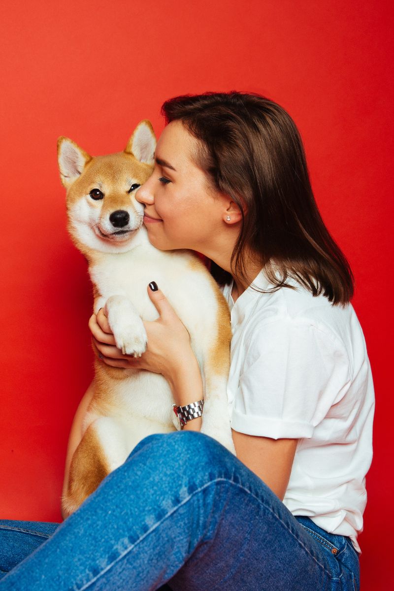 Proactive Care for Your Dog’s Wellbeing: 4 Key Pillars for Healthy Dogs - Bisous Pets