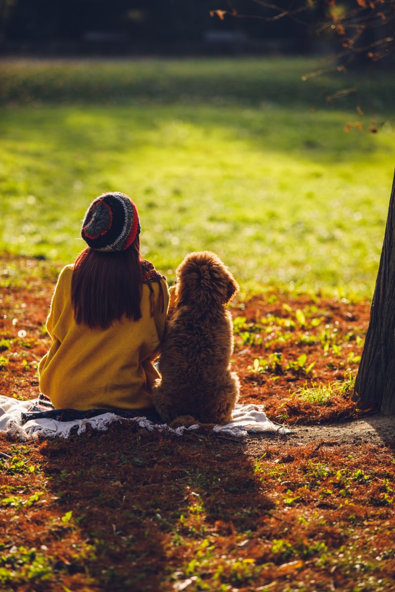 What’s Your Dog’s Love Language? How To Strengthen Your Bond - Bisous Pets
