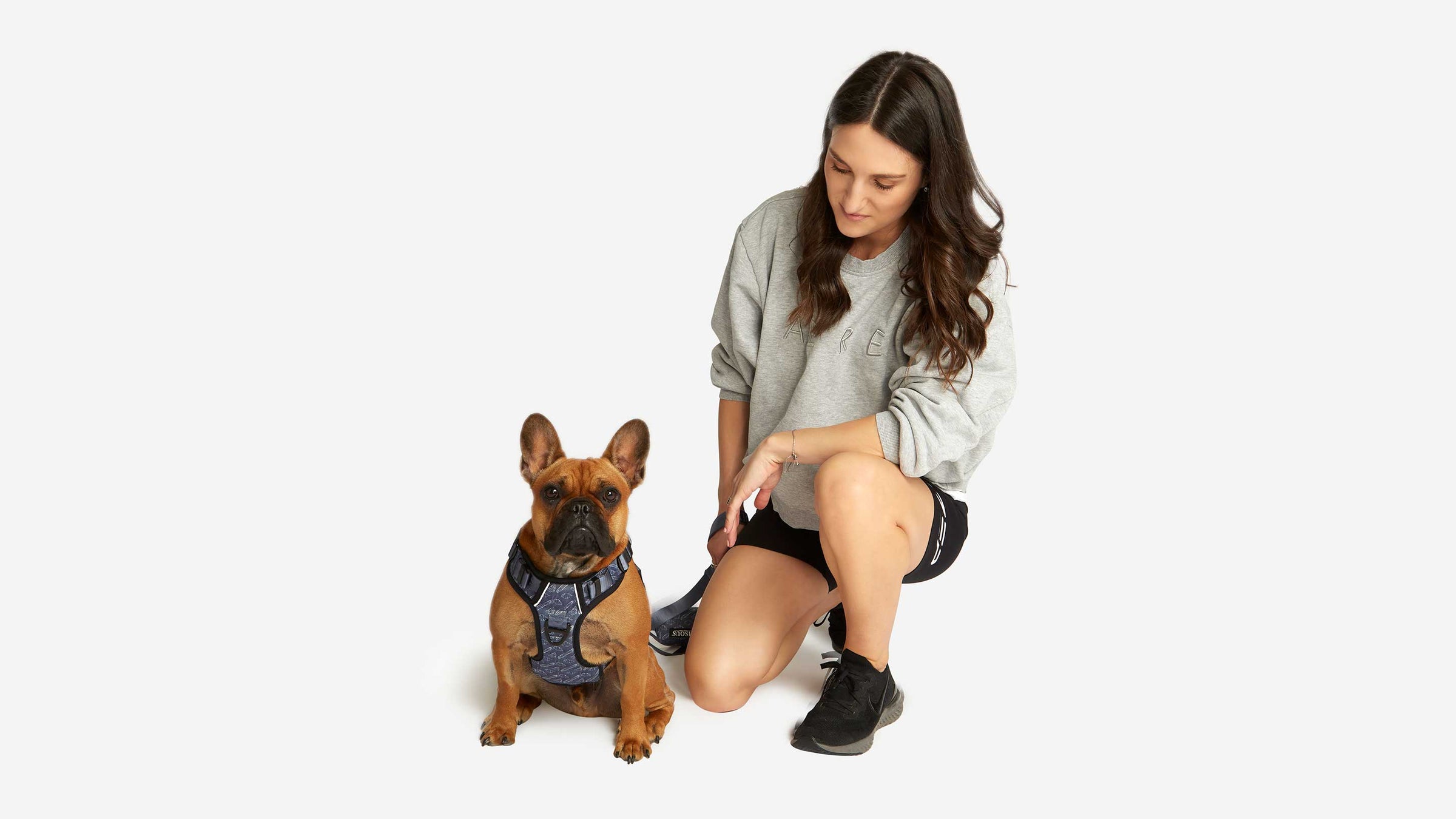 French Bulldog in dog harness with woman owner