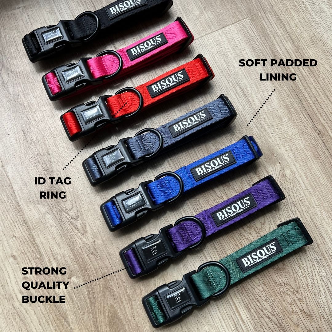 Classic Dog Collar | Royal Blue - Bisous Pets