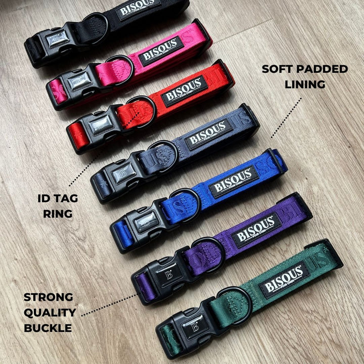 Classic Dog Collar | Royal Blue - Bisous Pets
