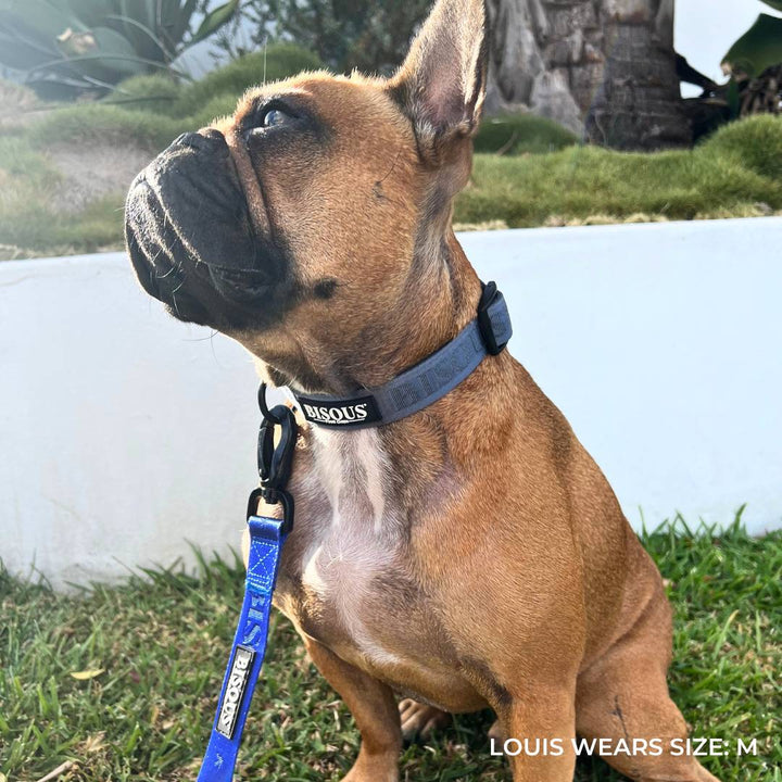 Classic Dog Collar | Steel Blue - Bisous Pets