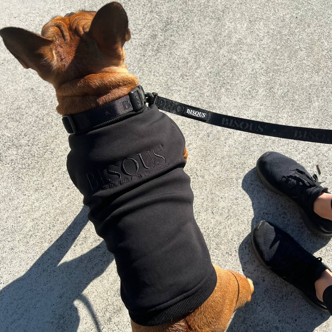 Classic Dog Leash | Black - Bisous Pets