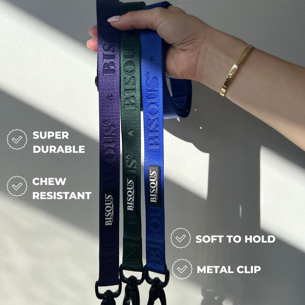 Classic Dog Leash | Green - Bisous Pets