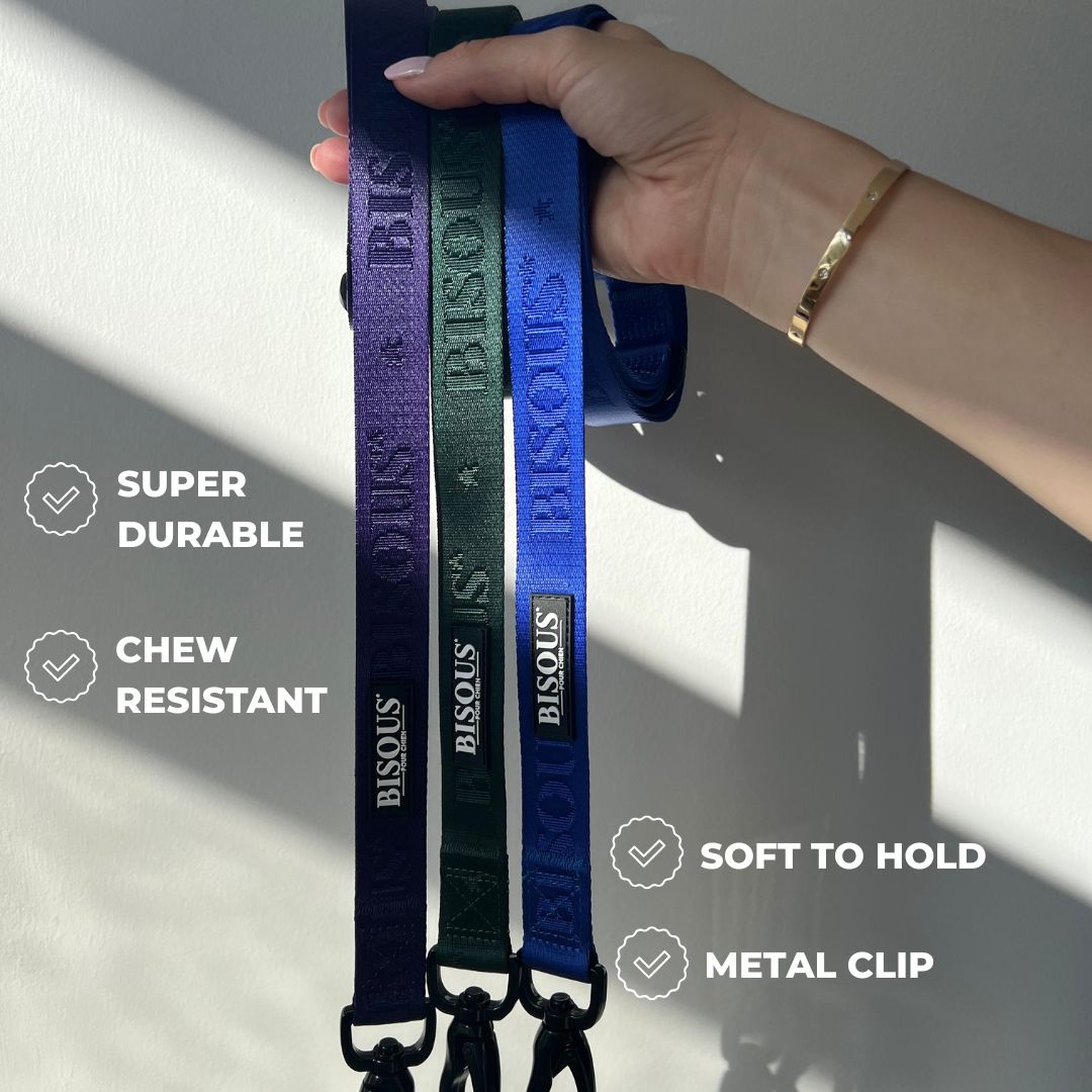 Classic Dog Leash | Green - Bisous Pets