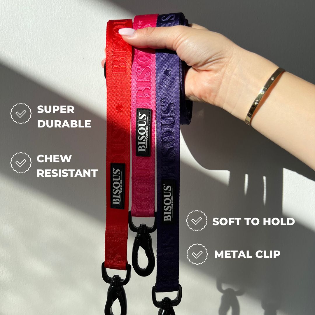 Classic Dog Leash | Purple - Bisous Pets