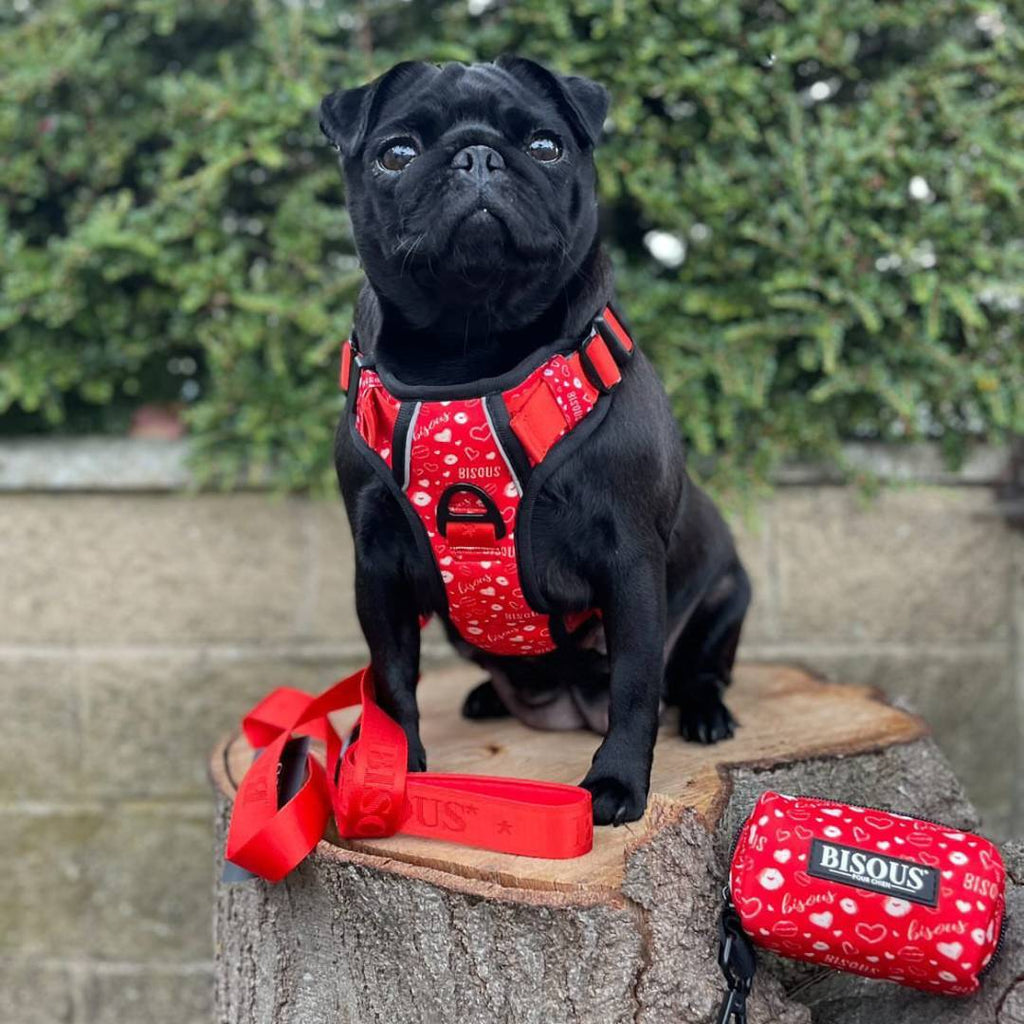 Dog Poop Bag Holder | Bisous - Bisous Pets