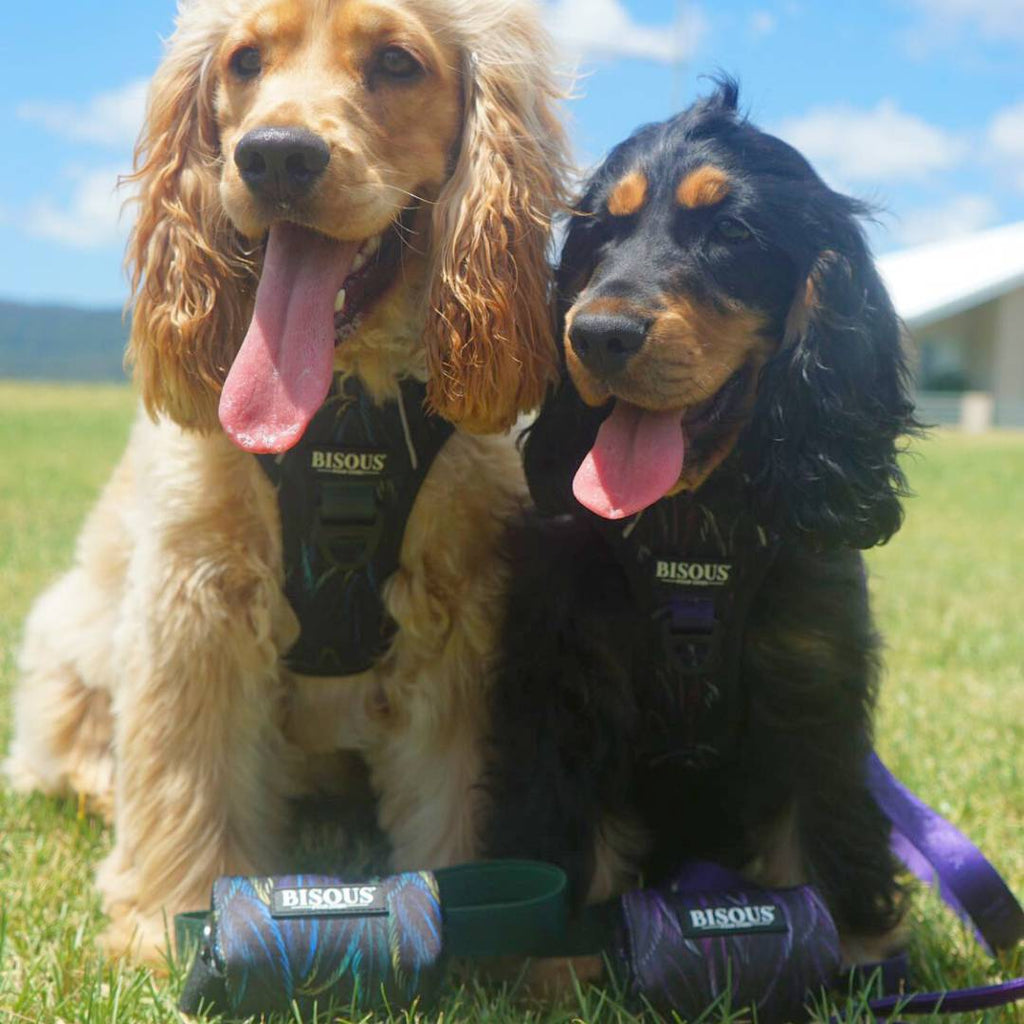Dog Poop Bag Holder | Plume Purple - Bisous Pets