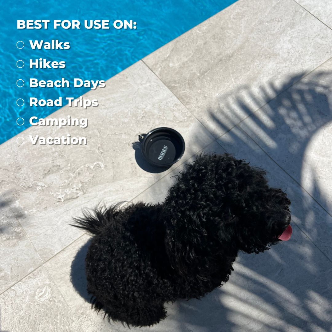 Dog Travel Water Bowl by Bisous Pets Pup Walk Essentials
