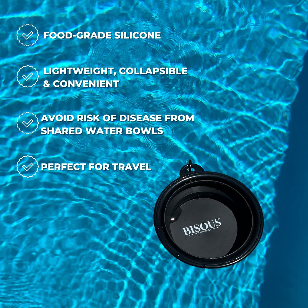 Dog Travel Water Bowl - Bisous Pets