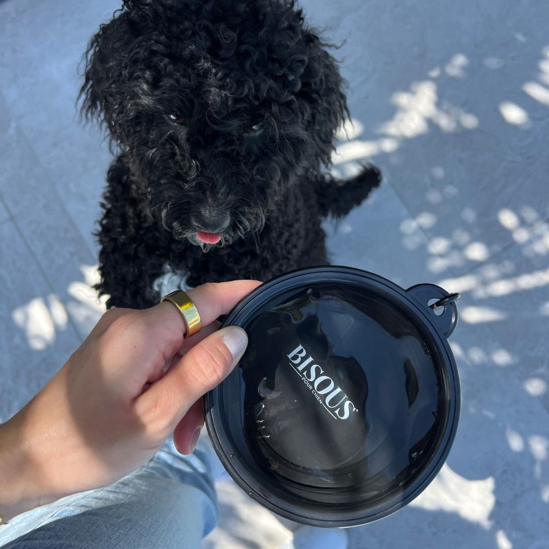 Dog Travel Water Bowl - Bisous Pets