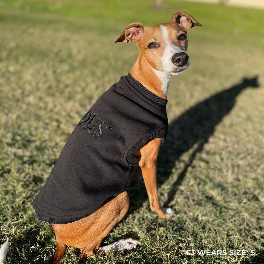 ESSENTIAL DOG SWEATSHIRT | BLACK - Bisous Pets
