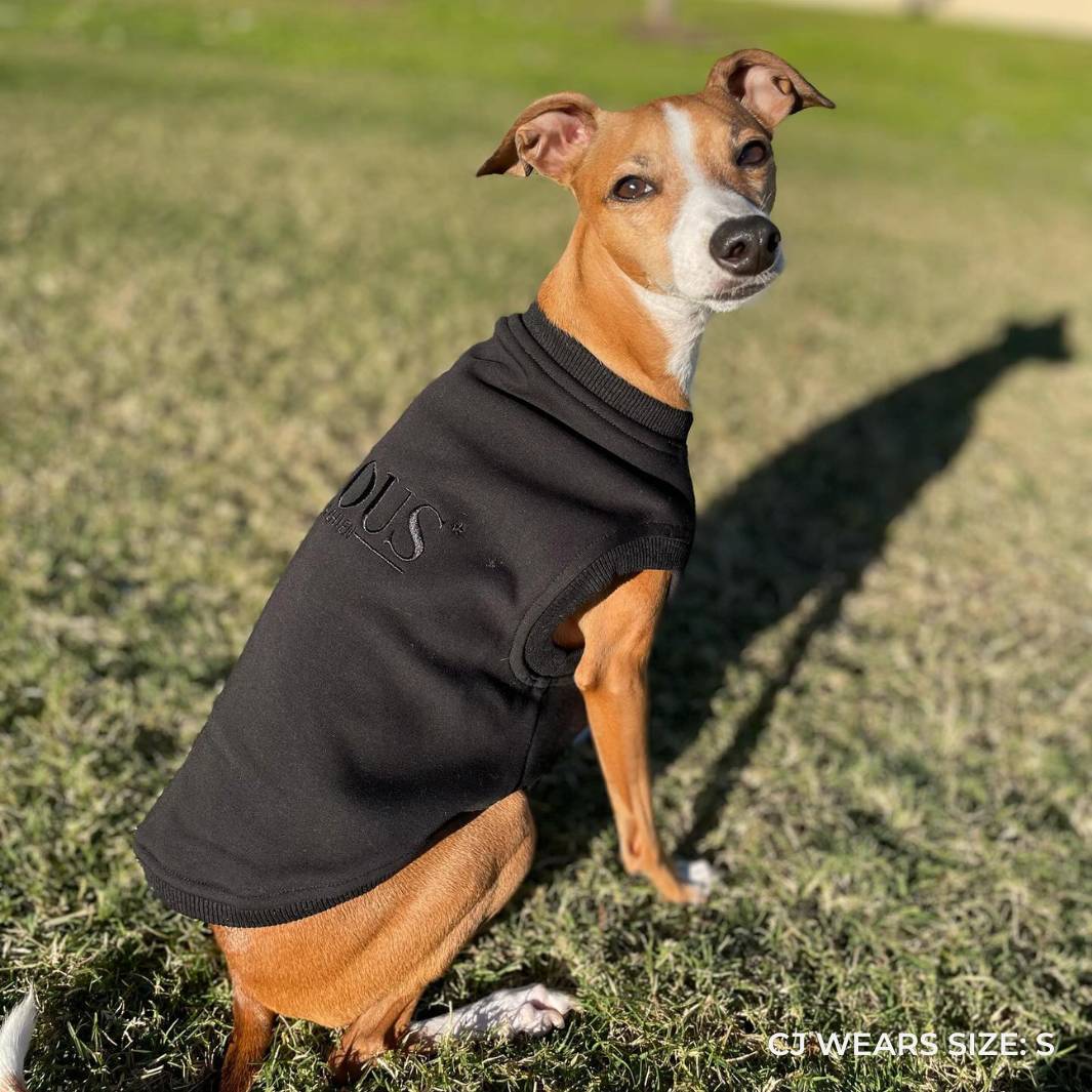ESSENTIAL DOG SWEATSHIRT | BLACK - Bisous Pets