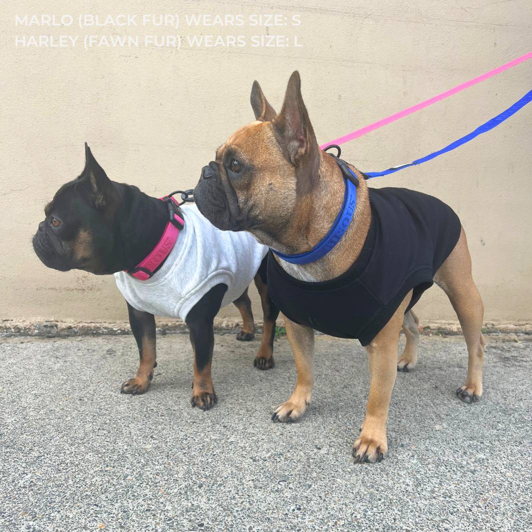 ESSENTIAL DOG SWEATSHIRT | BLACK - Bisous Pets