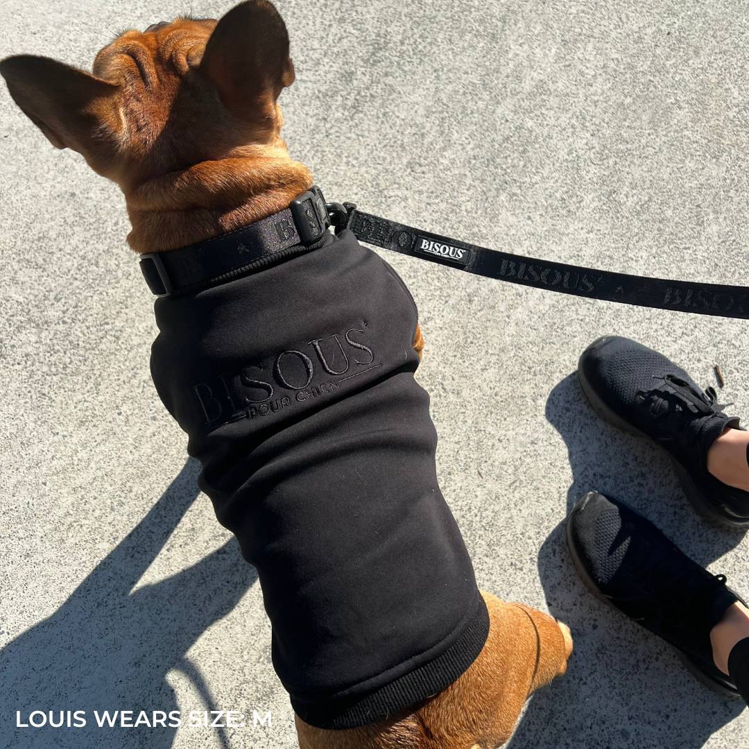 ESSENTIAL DOG SWEATSHIRT | BLACK - Bisous Pets