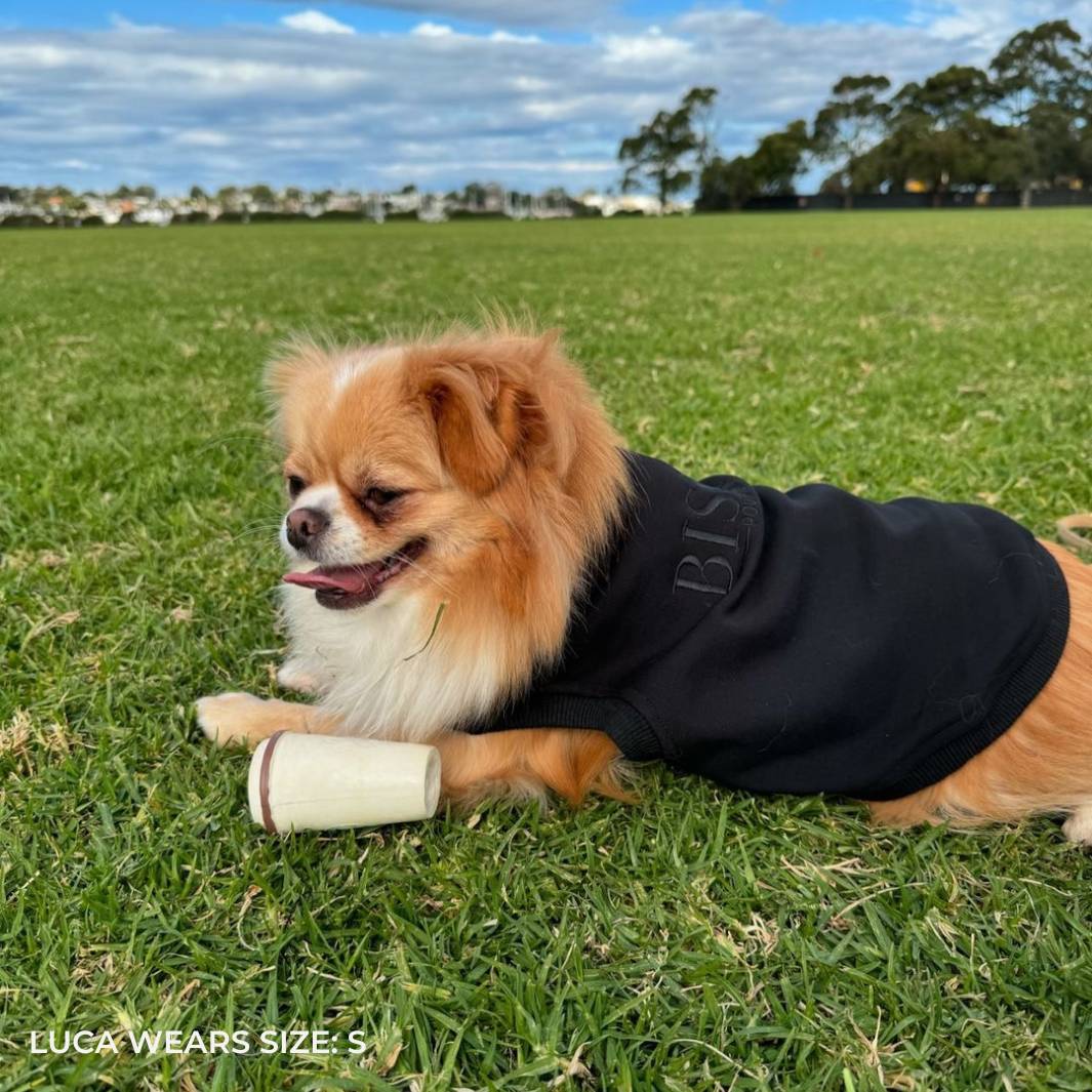 ESSENTIAL DOG SWEATSHIRT | BLACK - Bisous Pets
