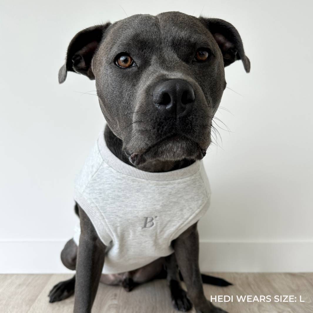 ESSENTIAL DOG SWEATSHIRT | WHITE MARLE - Bisous Pets