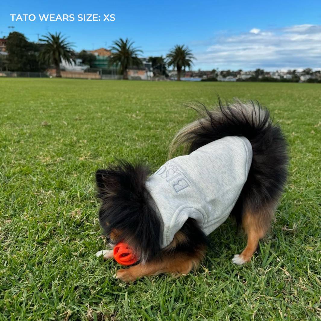 ESSENTIAL DOG SWEATSHIRT | WHITE MARLE - Bisous Pets