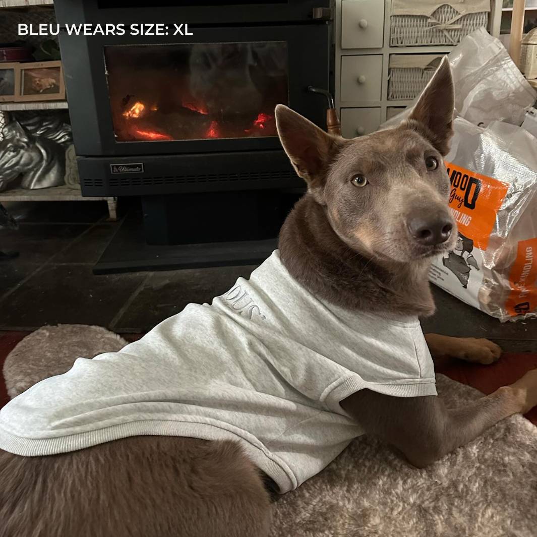 ESSENTIAL DOG SWEATSHIRT | WHITE MARLE - Bisous Pets