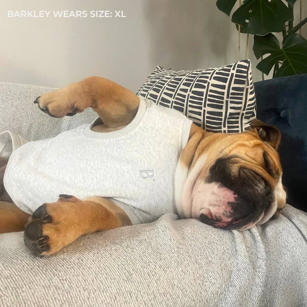 ESSENTIAL DOG SWEATSHIRT | WHITE MARLE - Bisous Pets