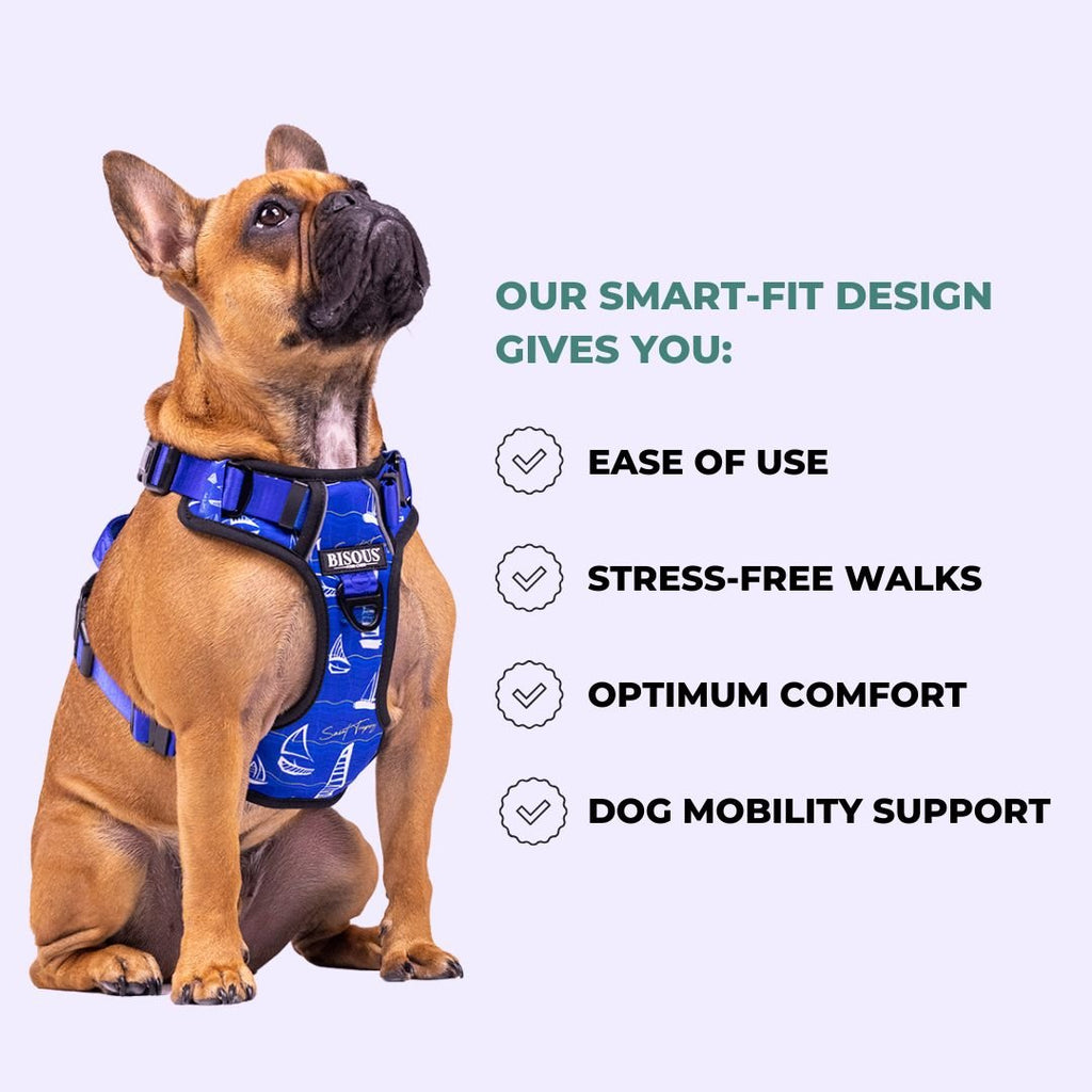 IMPERFECT Smart - Fit Harness | Monsieur - Bisous Pets
