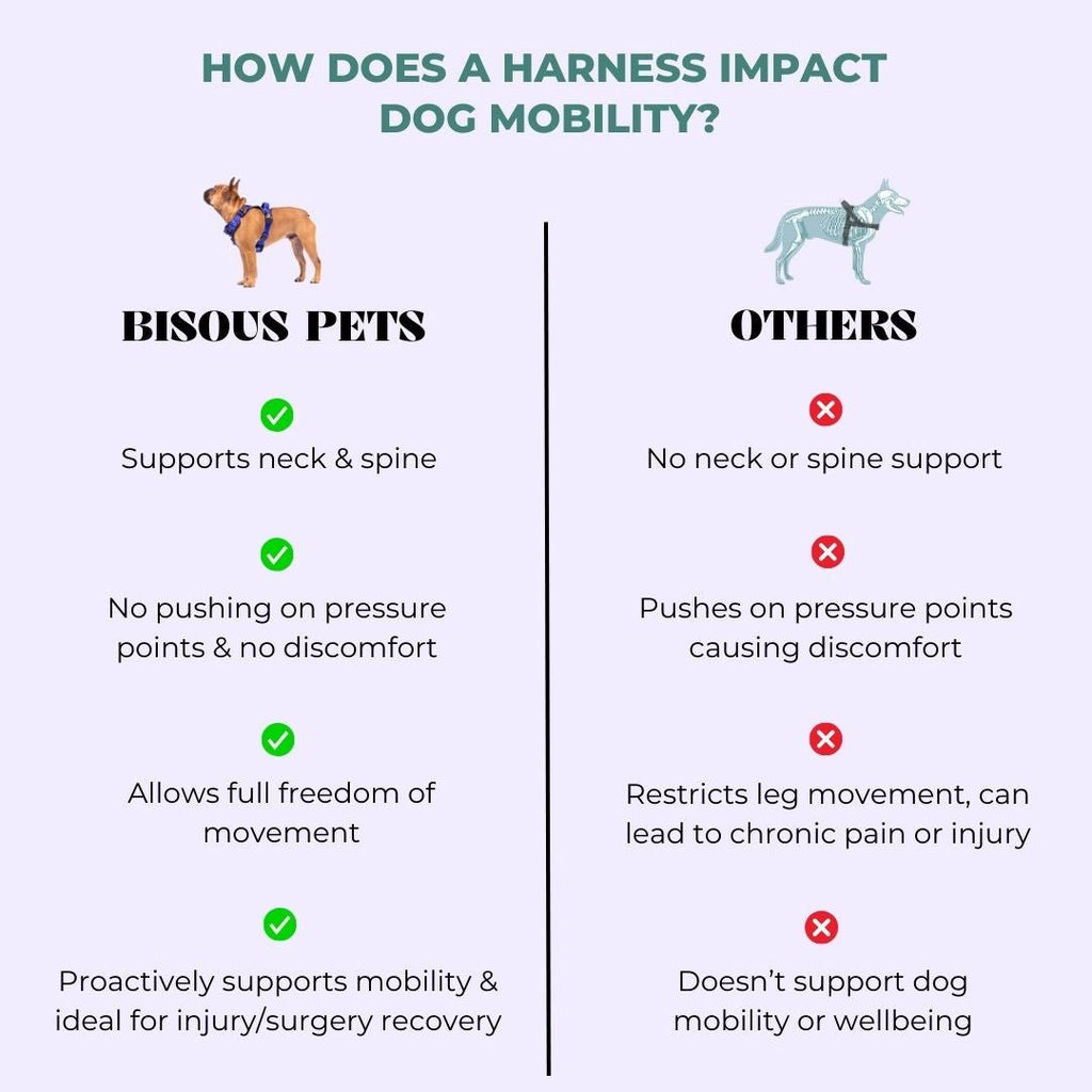 IMPERFECT Smart - Fit Harness | Monsieur - Bisous Pets