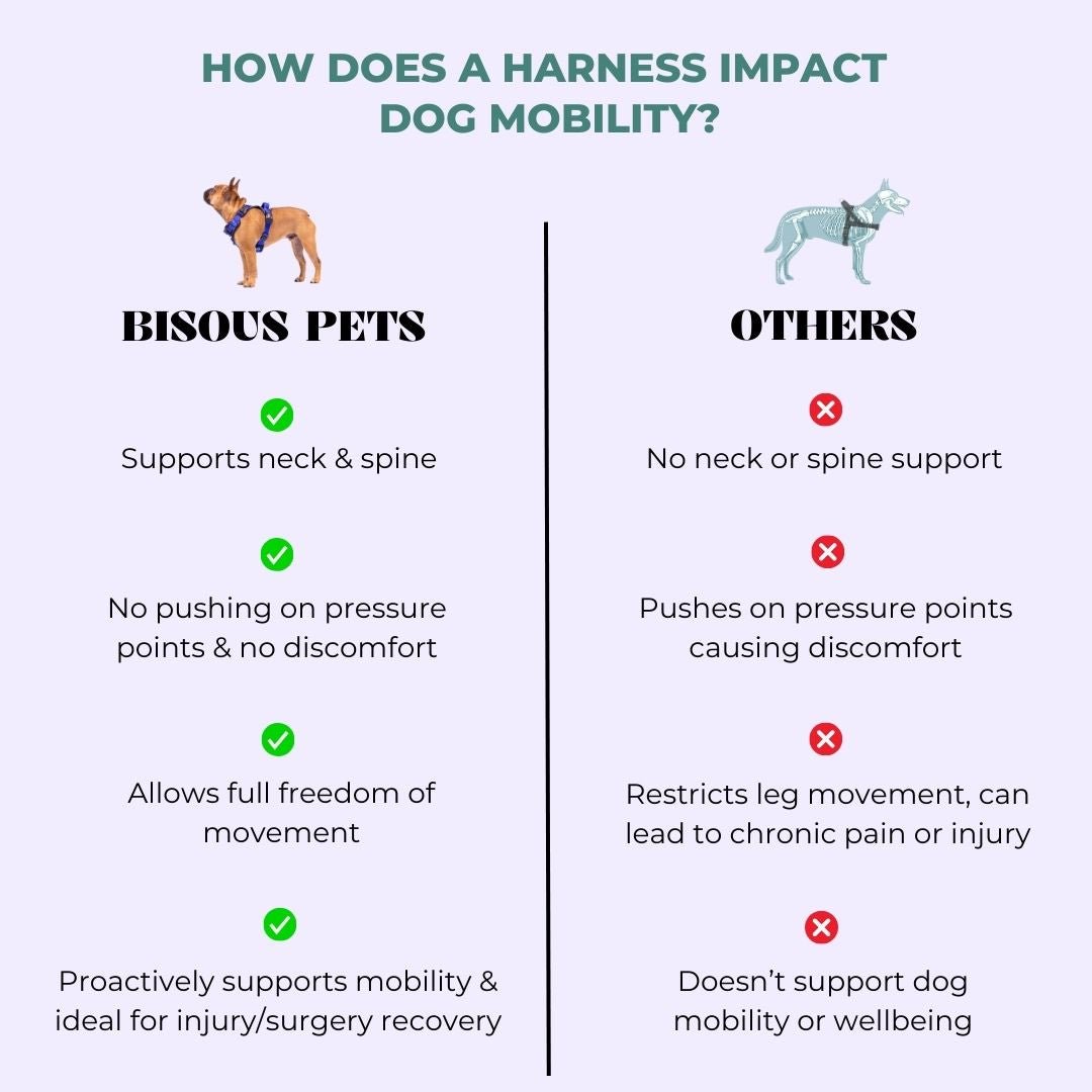 IMPERFECT Smart - Fit Harness | Monsieur - Bisous Pets