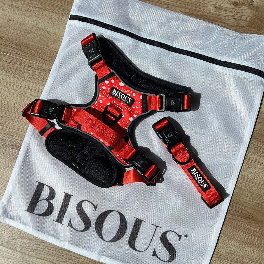 Laundry Bag - Bisous Pets