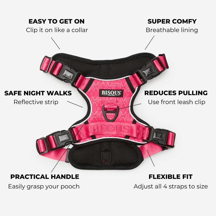 Smart - Fit Harness | Madame - Bisous Pets