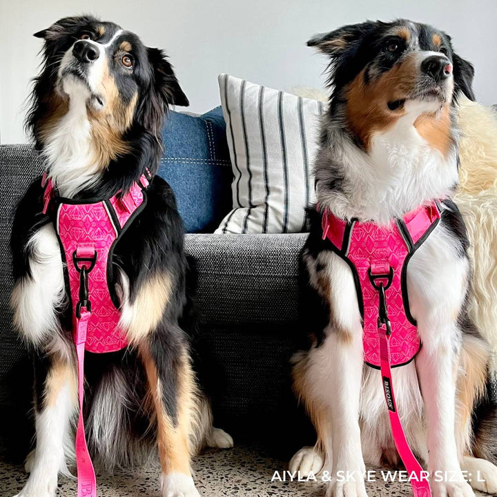 Smart - Fit Harness | Madame - Bisous Pets