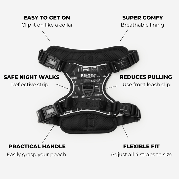 Smart - Fit Harness | Monsieur - Bisous Pets