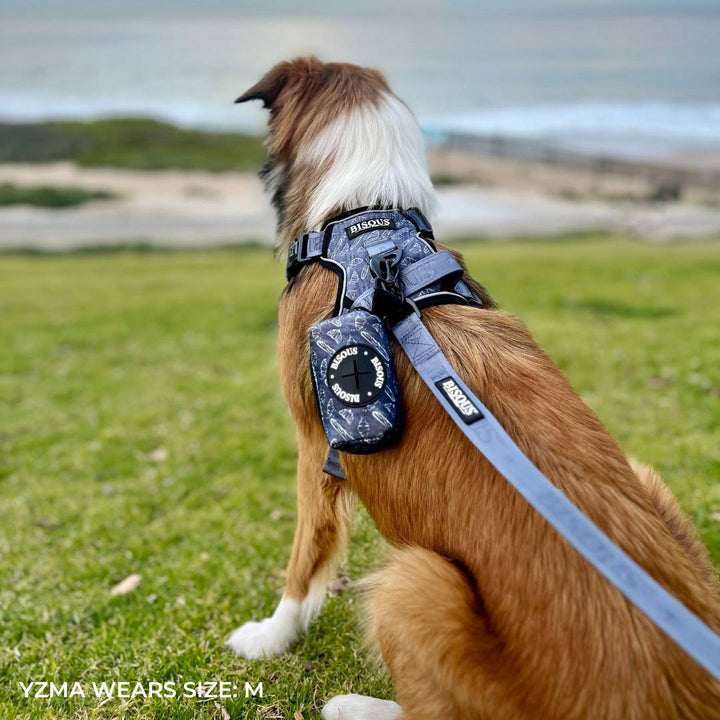 Smart - Fit Harness | Petit Dej - Bisous Pets