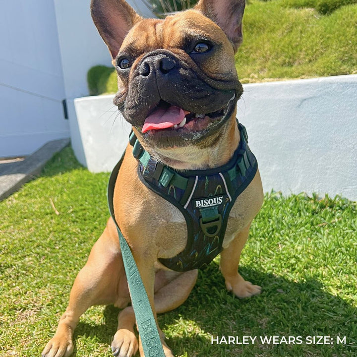 Smart - Fit Harness | Plume Green - Bisous Pets