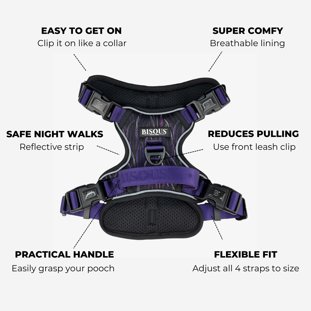 Smart - Fit Harness | Plume Purple - Bisous Pets