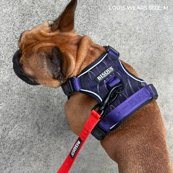 Smart - Fit Harness | Plume Purple - Bisous Pets