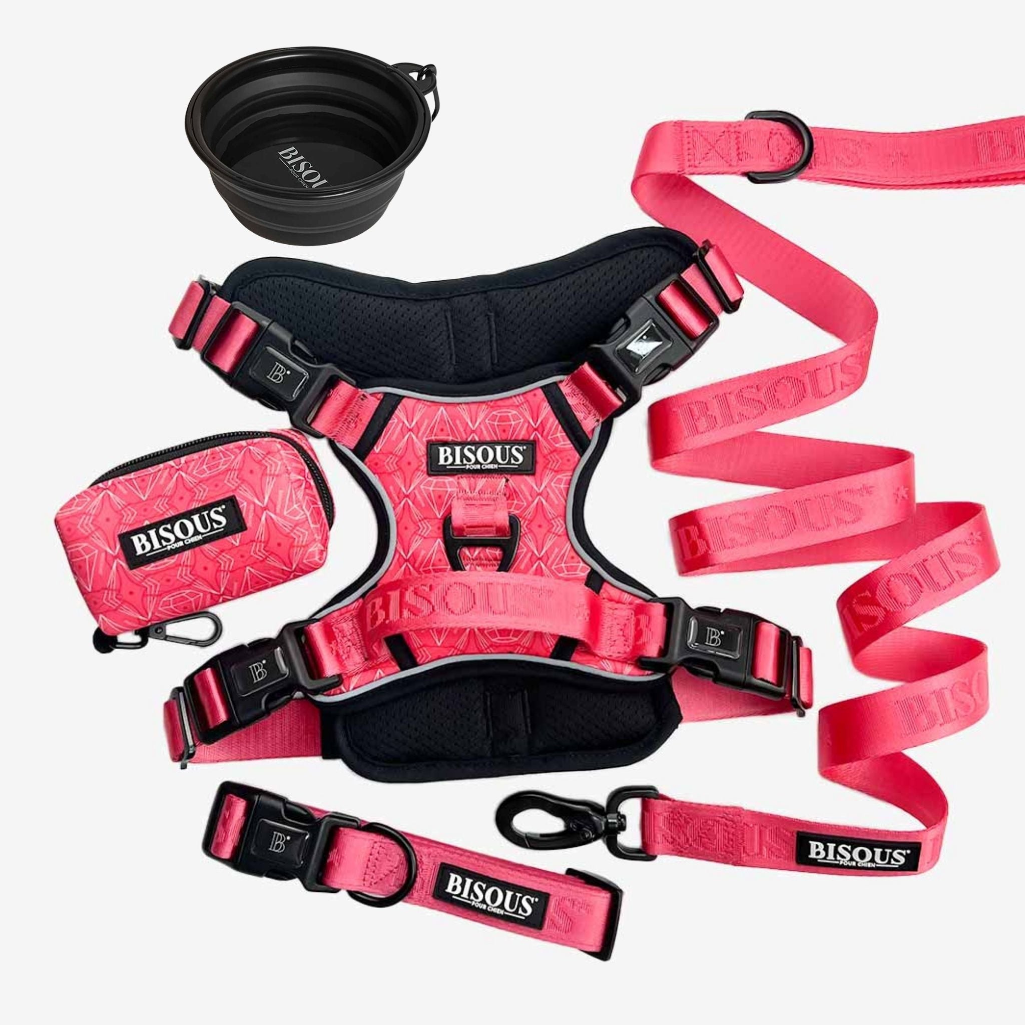 The Complete Walk Kit - Bisous Pets