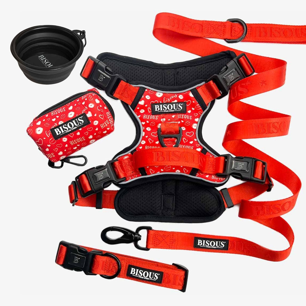 The Complete Walk Kit - Bisous Pets