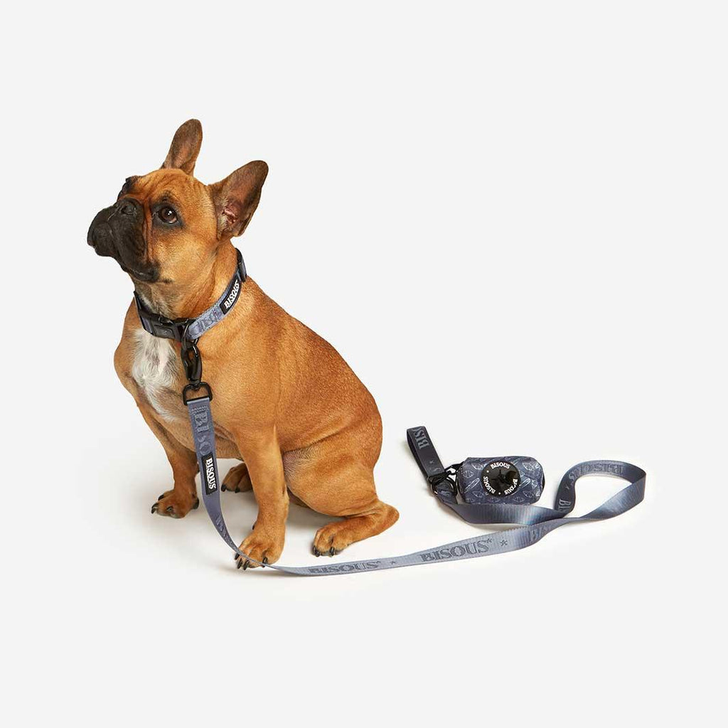 Classic Dog Collar | Blue - Bisous | Pour Chien