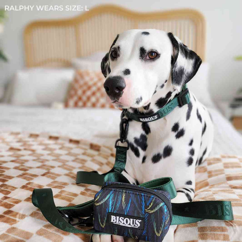 Classic Dog Collar | Green - Bisous | Pour Chien