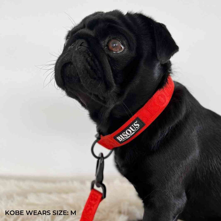 Classic Dog Collar | Red - Bisous | Pour Chien