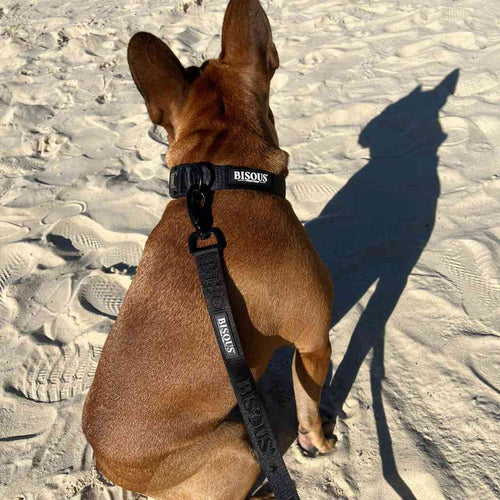 Classic Dog Leash | Black - Bisous | Pour Chien