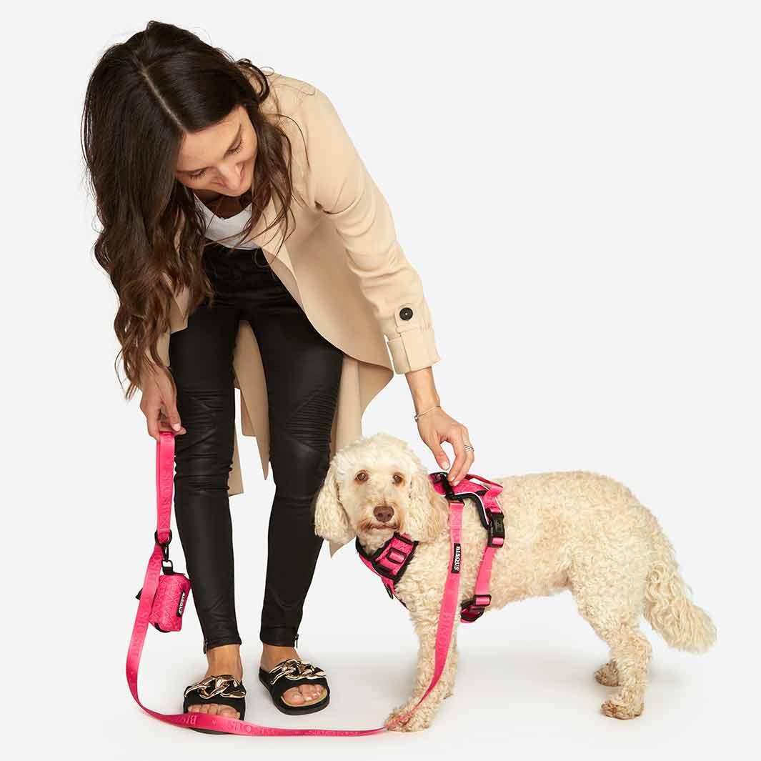 Classic Dog Leash | Pink - Bisous | Pour Chien