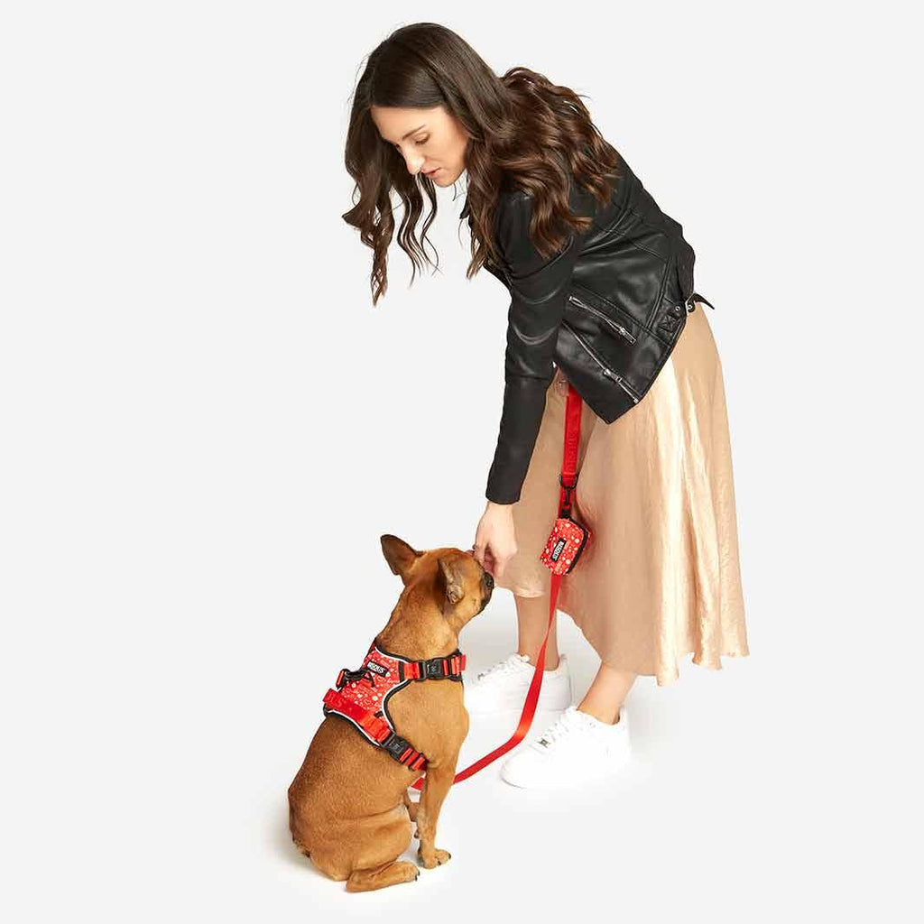 Dog Poop Bag Holder | Bisous - Bisous | Pour Chien