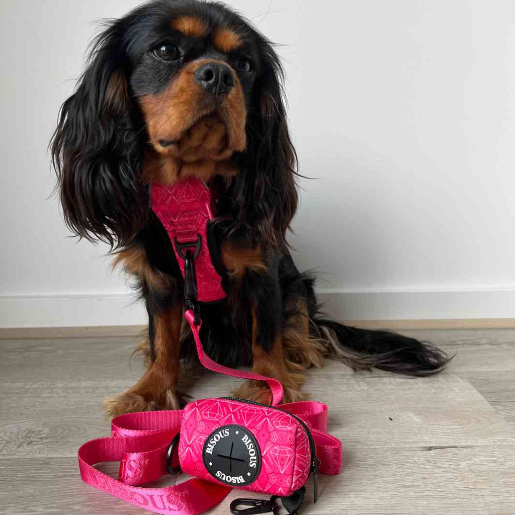 Dog Poop Bag Holder | Madame - Bisous | Pour Chien